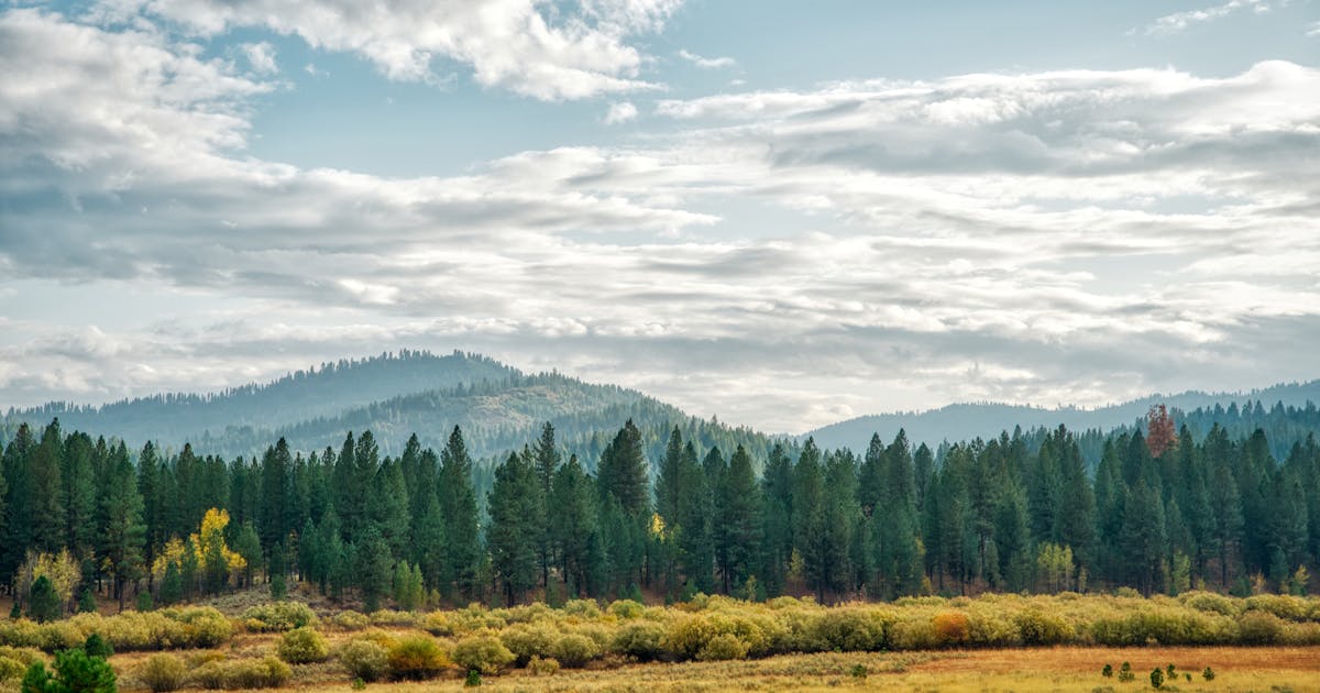 Idaho cityscape